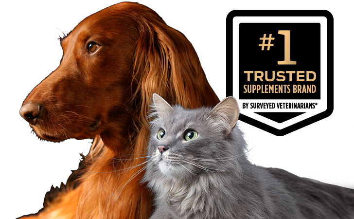 Dog and cat looking left and the #1 trusted supplements brand surveyed by veterinarians copy on the right.