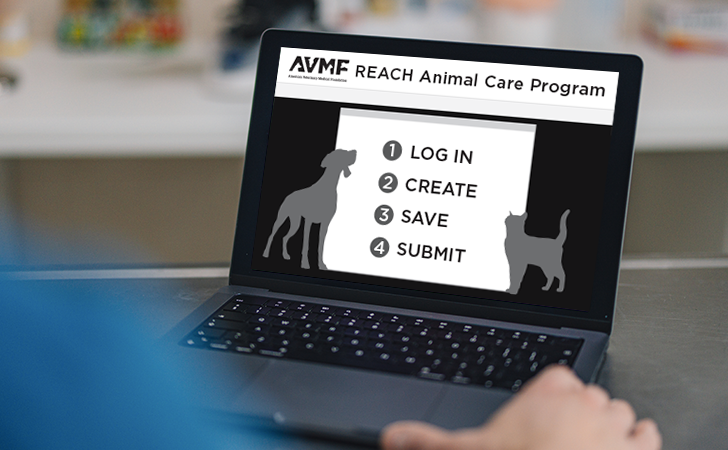 Laptop opened with AVMF Reach Animal Care Program on the screen with 1. Log in 2. Create 3. Save 4. Submit