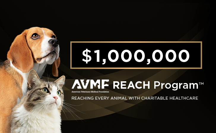 Dog and Cat looking to the right and says $1,000,000 AVMF Reach Program. Reaching every animal with charitable healthcare.