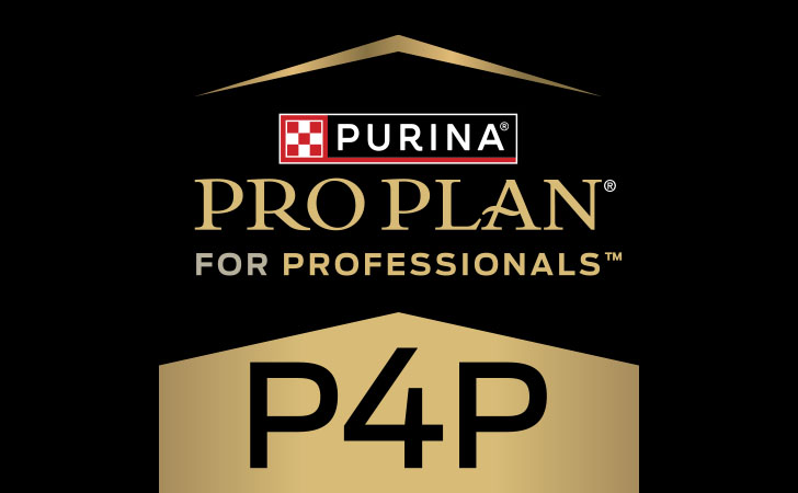 Pro Plan for Professionals logo