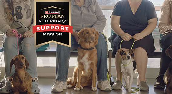 The Pro Plan Veterinary Support Mission logo and dogs with their owners in a vet clinic. 